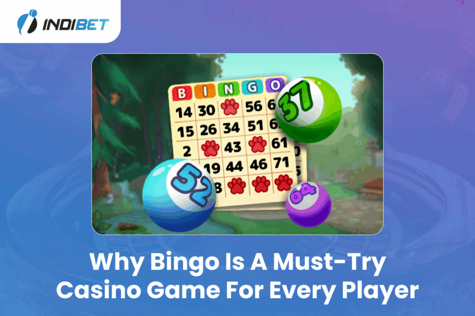 Why Bingo is a Must-Try Casino Game for Every Player Why Bingo is a Must-Try Casino Game for Every Player Indibet Betting and Casino